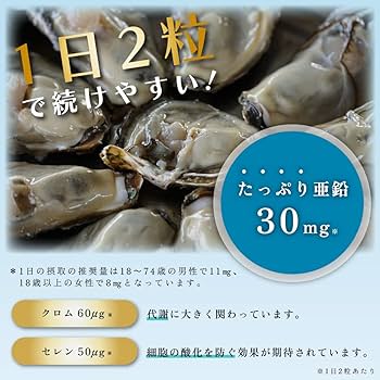 AMARS JPNMN9900 免疫グロブリン 60粒 AE-1360 EzStain Silver | ゲル染色試薬 | 電気泳動試薬 | 電気